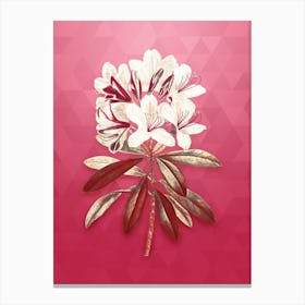 Vintage Common Rhododendron Botanical in Gold on Viva Magenta n.0797 Canvas Print