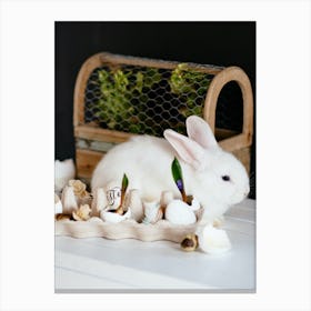 Easter Bunny 49 Canvas Print