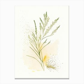 Cumin Herb Minimalist Watercolour Canvas Print