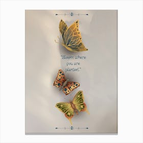 Butterflies In Flight Canvas Print
