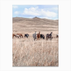 Wild West Horses Canvas Print