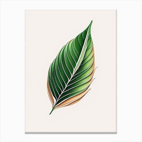 Aloe Vera Warm Tones Canvas Print