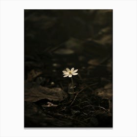 Single Flower In The Forest 1 Canvas Print