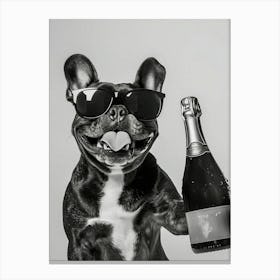 French Bulldog Holding Champagne Canvas Print