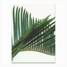 Plant Range II Canvas Print