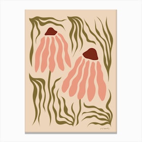 Echinacea 2 Canvas Print