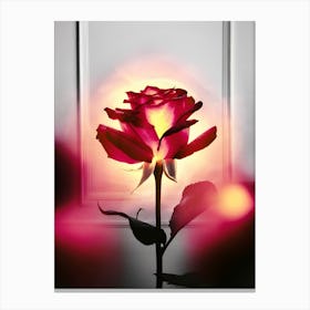 Rose In A Window Canvas Print