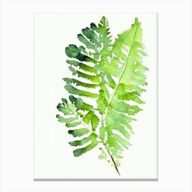 Maidenhair Fern Wildflower Watercolour 1 Canvas Print