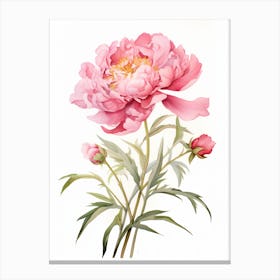 Peony Wildflower At Dawn In Watercolor (1) Canvas Print