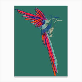 Hummingbird003 Canvas Print