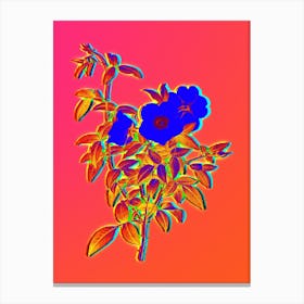 Neon White Rose of Snow Botanical in Hot Pink and Electric Blue n.0114 Canvas Print