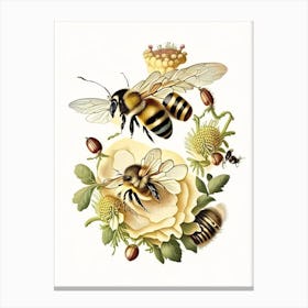 Bees 1 Vintage Canvas Print