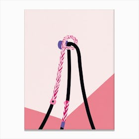 Pink And Black Rope 1 Canvas Print