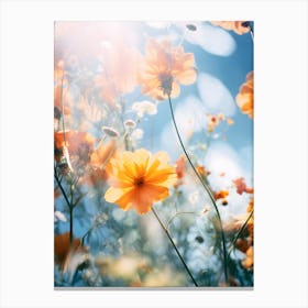 Cosmos Flowers Canvas Print