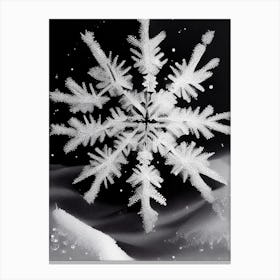 Crystal, Snowflakes, Black & White 4 Canvas Print