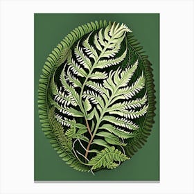Shield Fern Vintage Botanical Poster Canvas Print