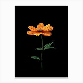 Single Orange Flower 12 Canvas Print