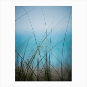 Warm Wind Cool Water Canvas Print