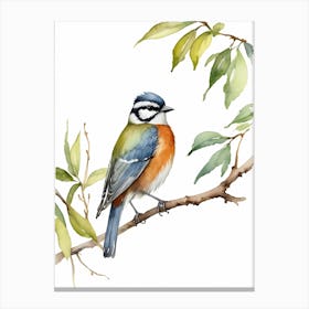 Beautiful Bird On Branch Watercolor Painting (8) Canvas Print