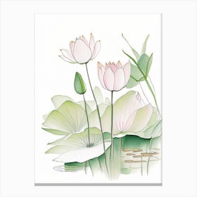 Lotus Flowers In Park Pencil Illustration 1 Canvas Print