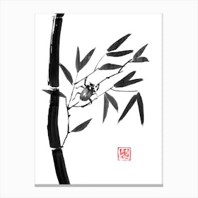 Bamboo And Beetle Canvas Print