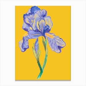 Blue Iris Canvas Print