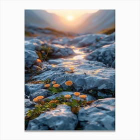 Sunrise In The Mountains 5 Canvas Print