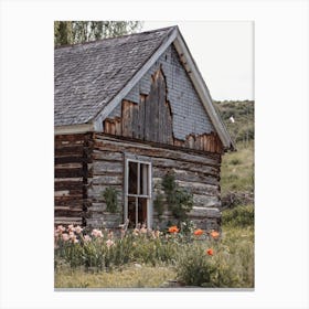 Abandoned Homestead Cabin Canvas Print