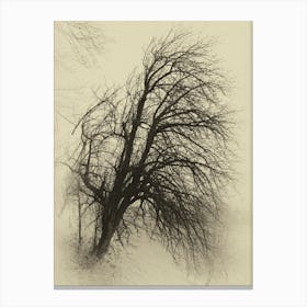 Bare Tree Canvas Print