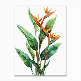 Bird Of Paradise 38 Canvas Print