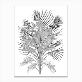 Saw Palmetto Herb William Morris Inspired Line Drawing 3 Canvas Print