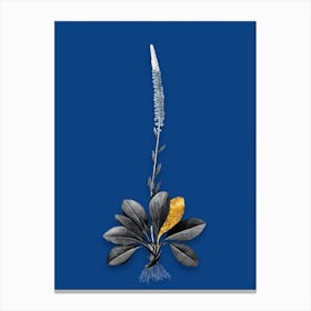 Vintage Blazing Star Black and White Gold Leaf Floral Art on Midnight Blue n.1081 Canvas Print