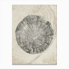 Beige Tree Ring Stump Canvas Print