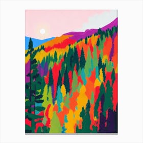 Jasper National Park Canada Abstract Colourful Canvas Print