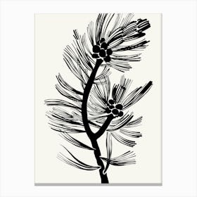 Pine Branch Black and White Ink Canvas Print