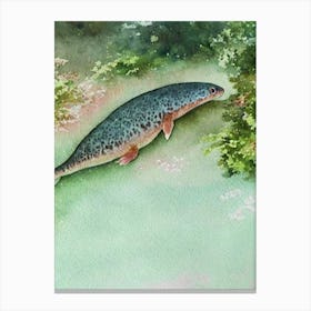 Japanese Giant Salamander Storybook Watercolour Canvas Print