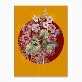 Vintage Botanical The Chinese primrose Primula sinensis on Circle Red on Yellow n.0332 Canvas Print