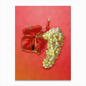 Vintage White Grape Botanical Art on Fiery Red n.1414 Canvas Print