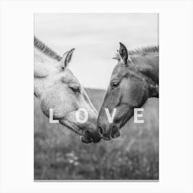 Wild Horse Love Canvas Print