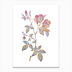 Stained Glass Velvet China Rose Mosaic Botanical Illustration on White n.0010 Canvas Print