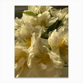 White Tulips 1 Canvas Print