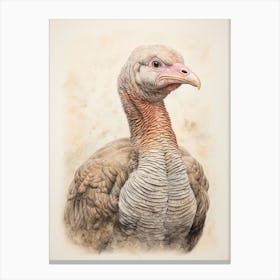 Vintage Bird Drawing Turkey 3 Canvas Print
