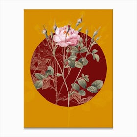 Vintage Botanical Anemone Flowered Sweetbriar Rose on Circle Red on Yellow n.0024 Canvas Print