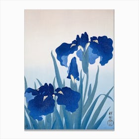 Iris Flowers, Ohara Koson Canvas Print