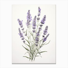 Lavender Flower Vintage Botanical 2 Canvas Print