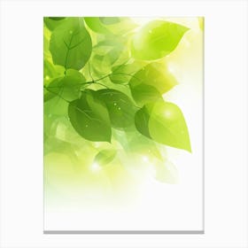 Green Leaves Background Canvas Print