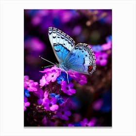Blue Butterfly On Purple Flowers 2 Canvas Print