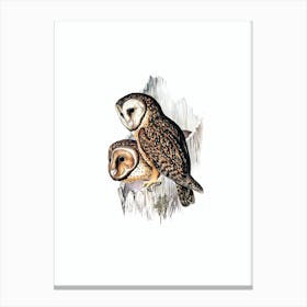 Vintage Chestnut Faced Owl Bird Illustration on Pure White Canvas Print
