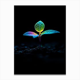 Rainbow Leaf Canvas Print