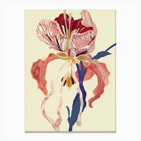 Colourful Flower Illustration Bleeding Heart 4 Canvas Print